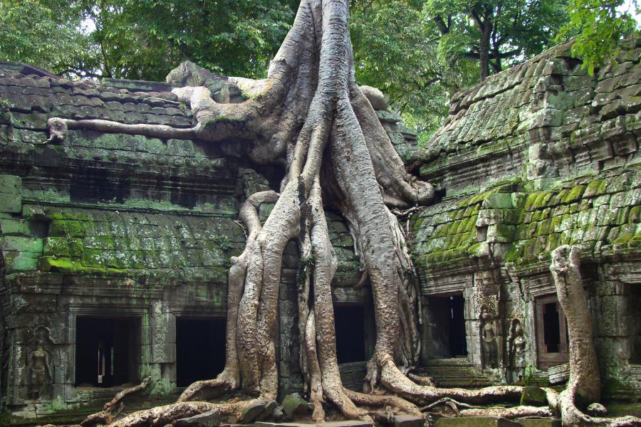 Angkor Wat Temple Complex 