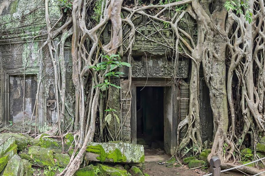 Angkor Wat Temple Complex 