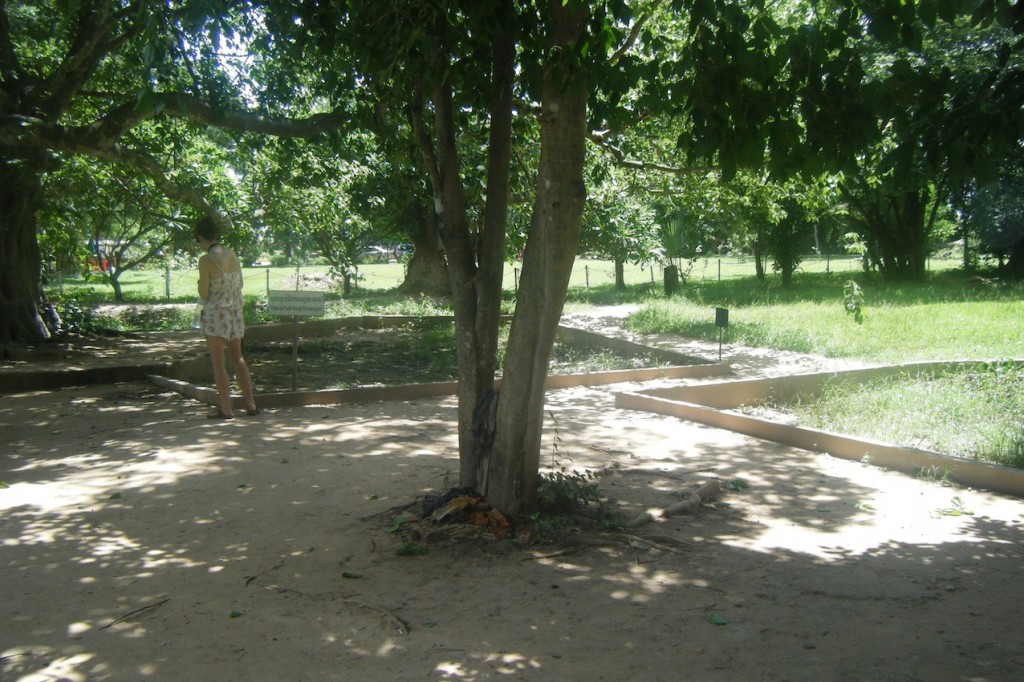 Choeung ek memorial Phnom Penh Cambodia 