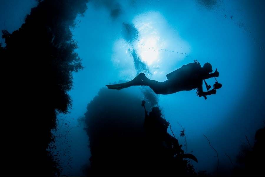 Koh Chang diving