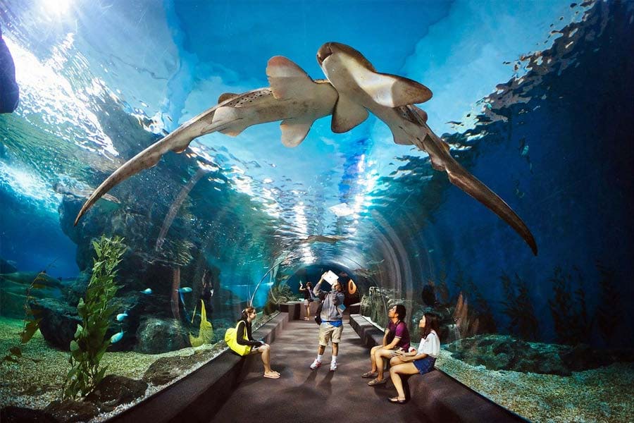 Underwater world Pattaya