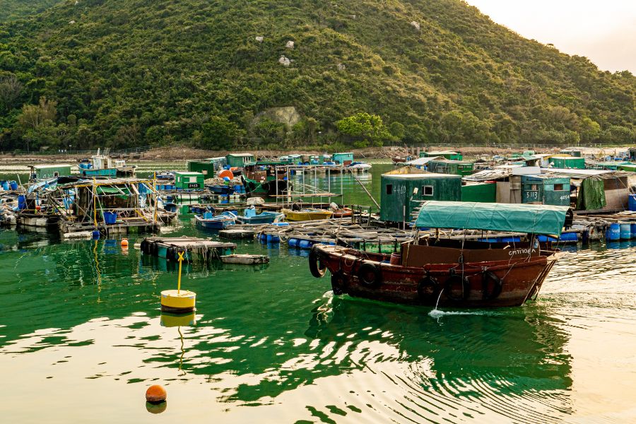 Lamma Island Hong Kong - Sok Kwu Wan