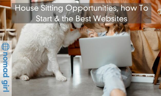 House Sitting Opportunities, how To Start & the Best Websites