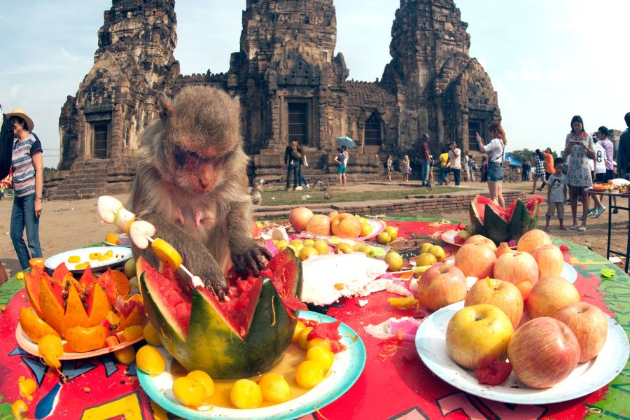 6 Weird and Wonderful Festivals From Around The World