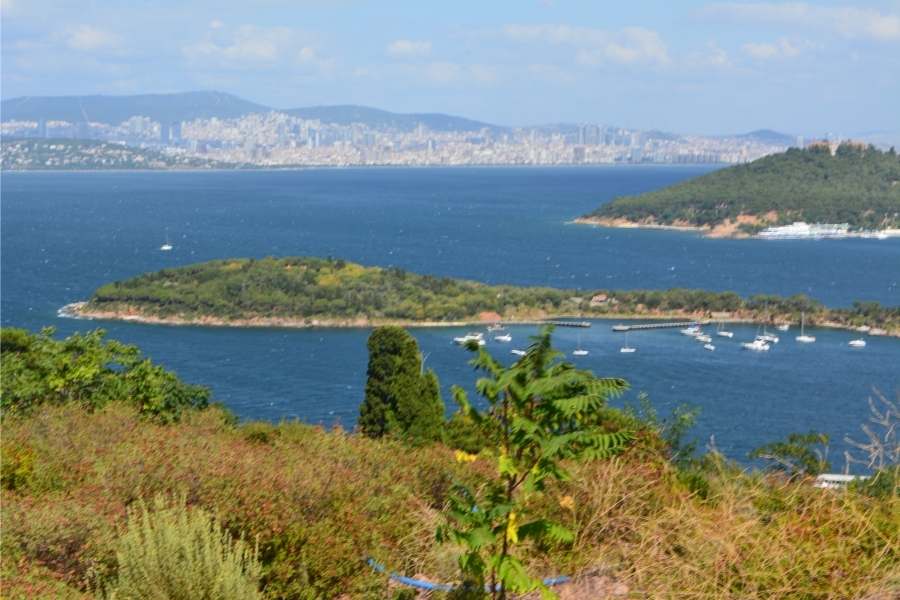 Things to Do in Istanbul - Prince Islands Istanbul