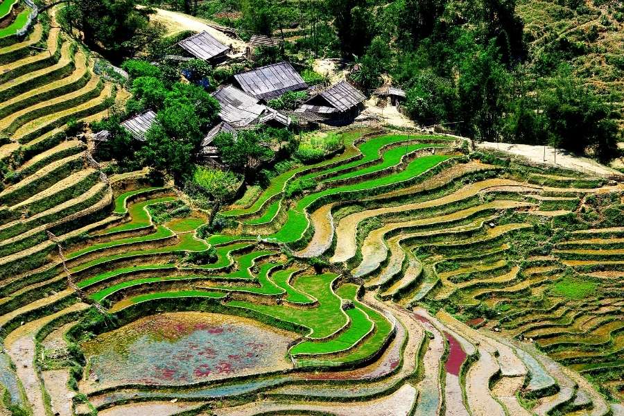 Sapa vietnam