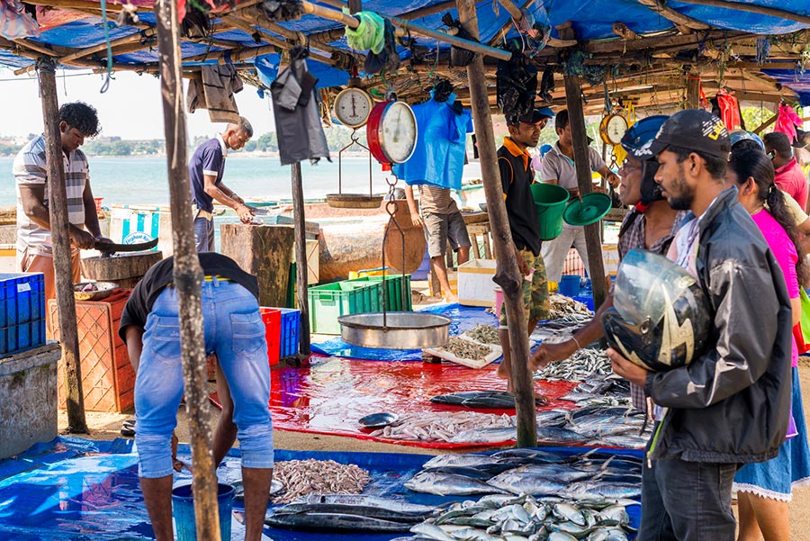 Galle fish market