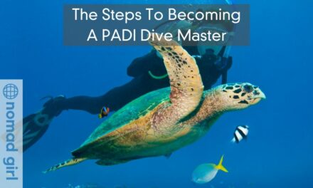 The Steps To Becoming A PADI Dive Master