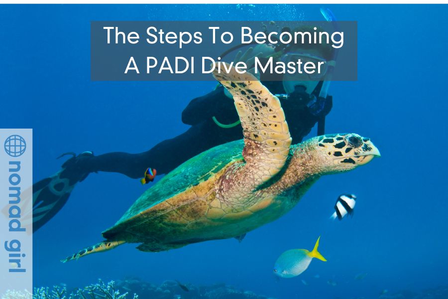 The Steps To Becoming A PADI Dive Master