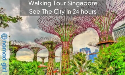 Walking Tour Singapore – See The City In 24 hours