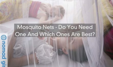 Mosquito Nets – Do You Need One And Which Ones Are Best?