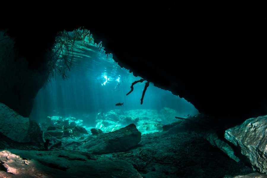 Cave diving Tulum