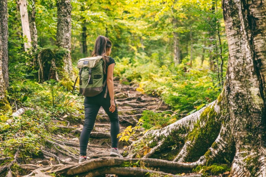 Getting Ready for Your First Long Trek - backpack