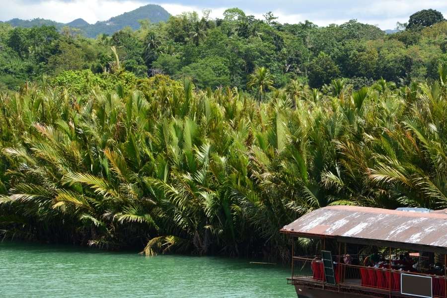 Travel Guide to Bohol - Loboc River Bohol Philippines