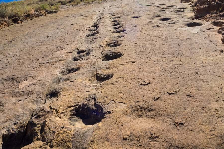 Top 6 Places to Visit in Bolivia - 5. Toro Toro Dinosaur footprints