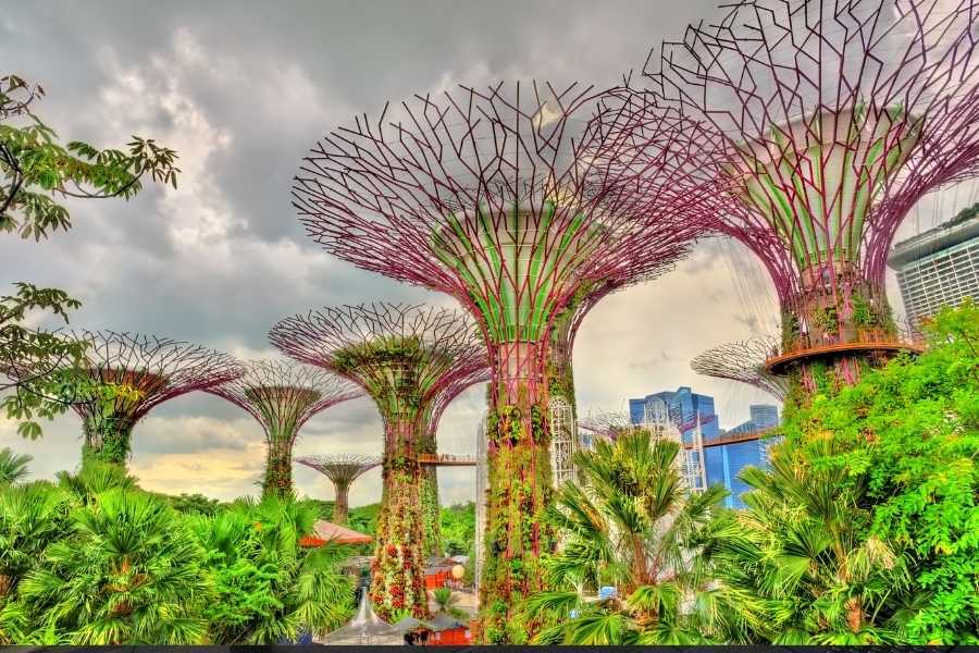 Travel Singapore On A Budget - Gardens By the bay