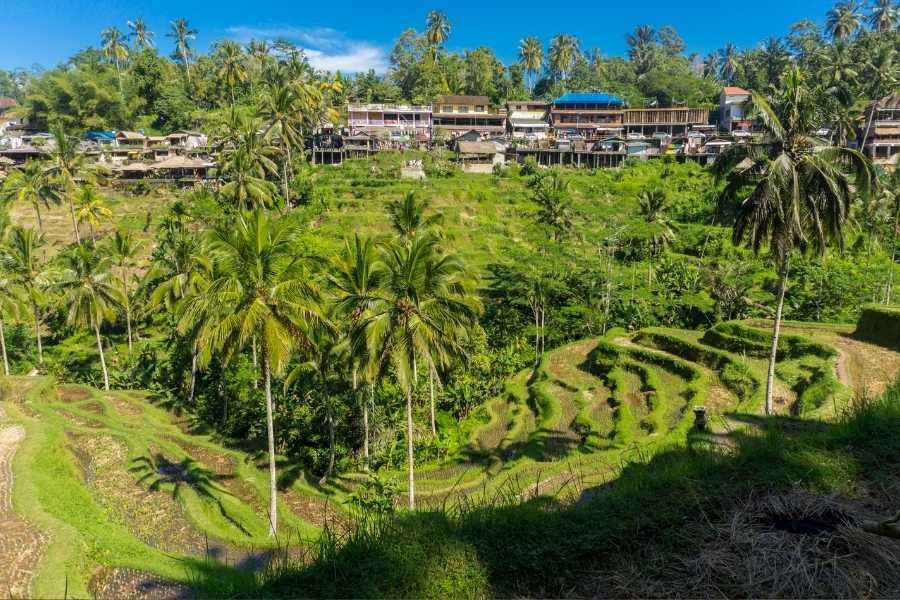 Ubud Village