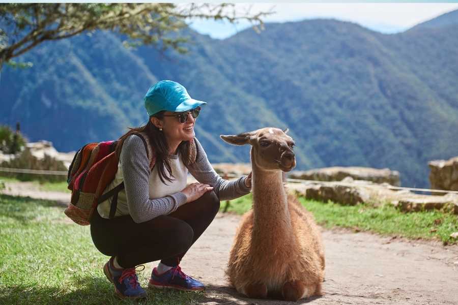 women travelling