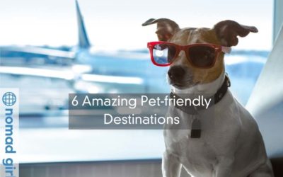 6 Amazing Pet-friendly Destinations Nomads Need To Travel To