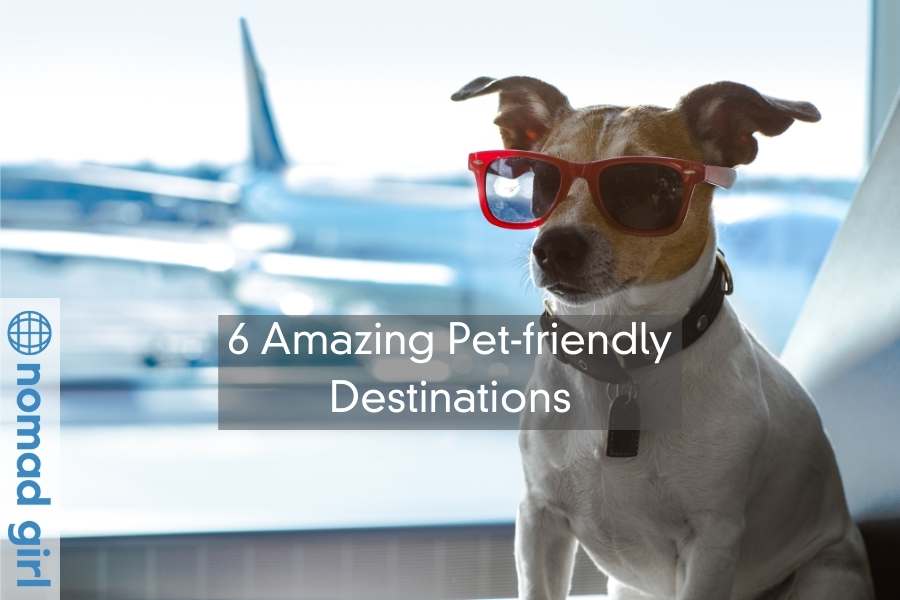 6 Amazing Pet-friendly Destinations Nomads Need To Travel To