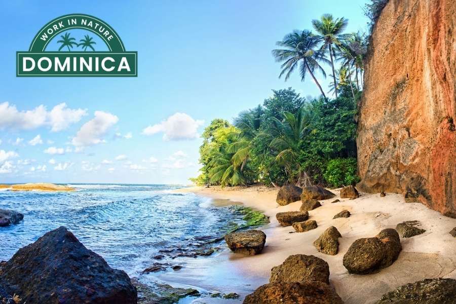 Dominica Work in Nature - Digital Nomad Visa For Remote Working