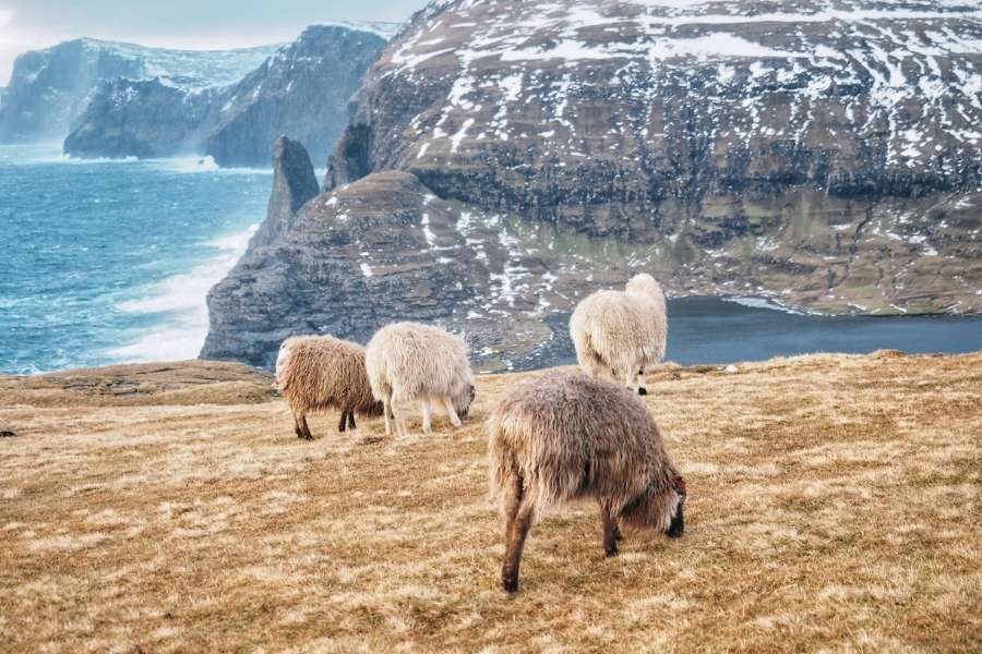 Ten Most Underrated Destinations You Need To Visit - Faroe Islands