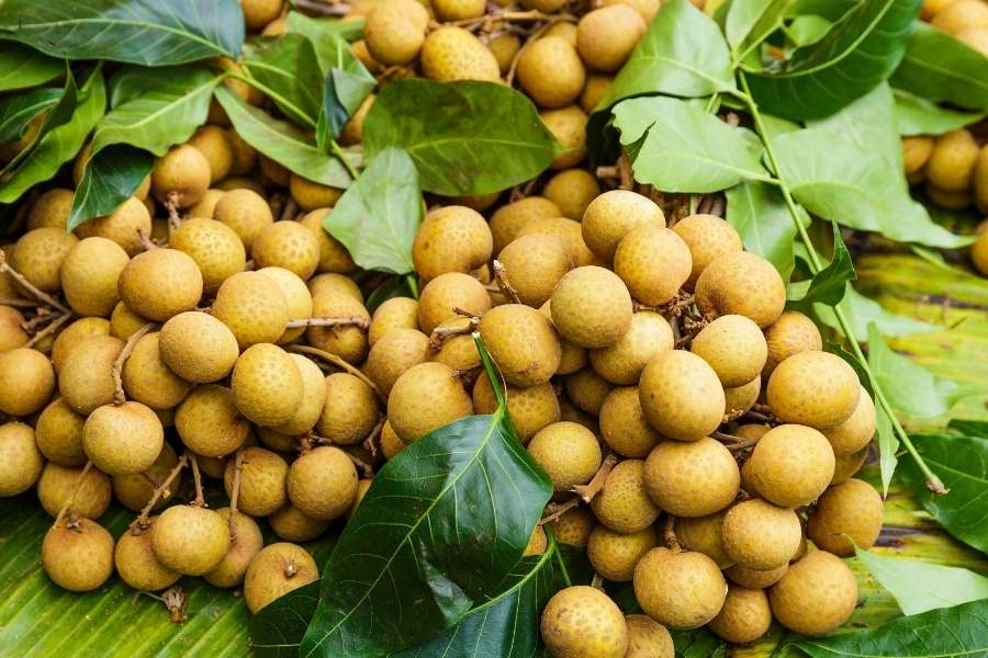 13 Tasty Tropical Fruits - 8. Longan