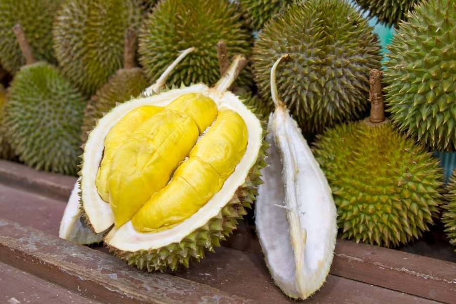 13 Tasty Tropical Fruits - 2. durian