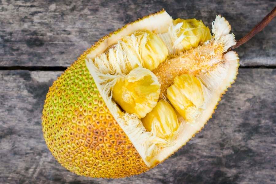 13 Tasty Tropical Fruits - 5. jackfruit