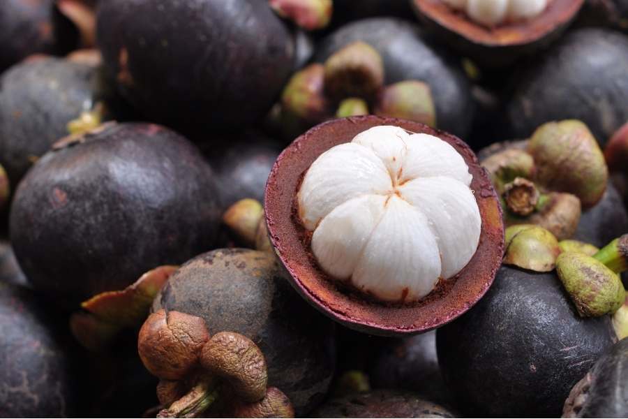 13 Tasty Tropical Fruits - 3. mangosteen