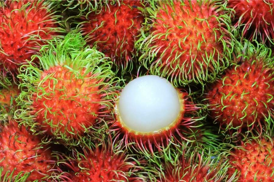 13 Tasty Tropical Fruits - 4. rambutan