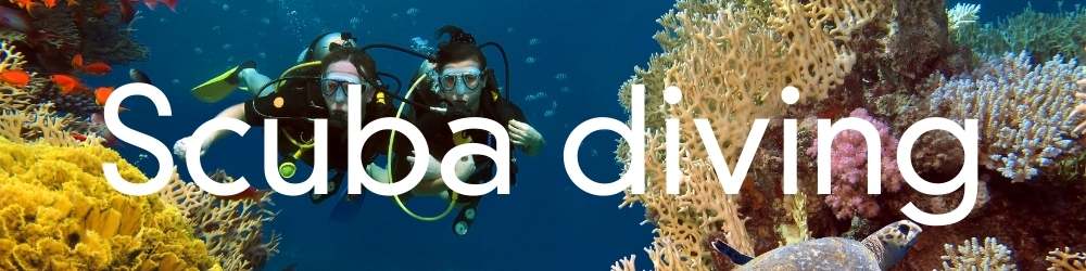 Scuba diving travel Information and articles