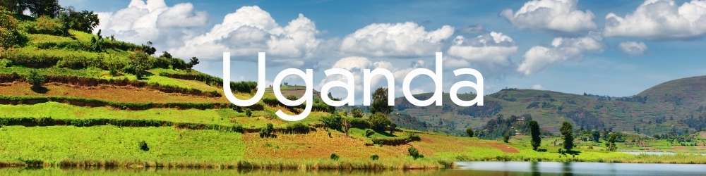 Uganda Information and articles