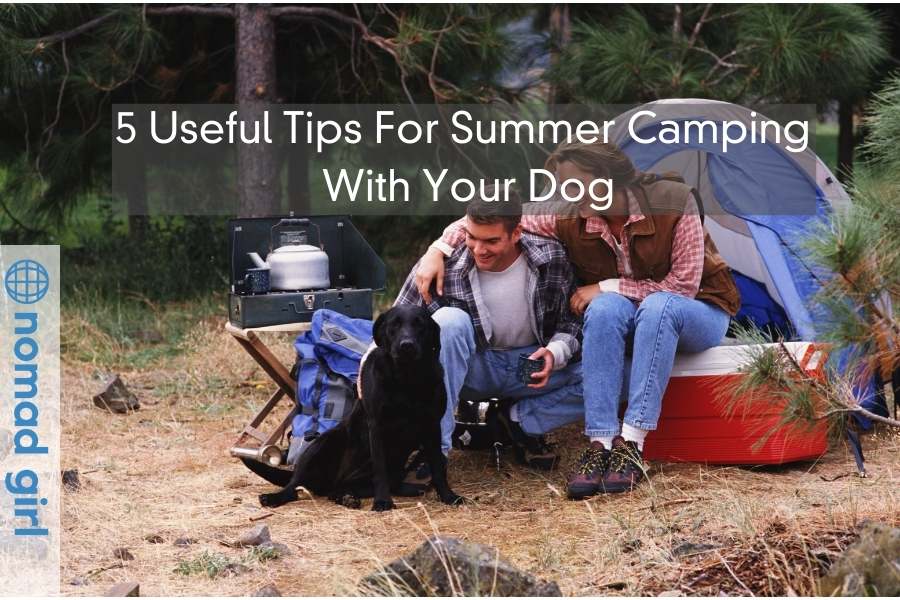 5 Useful Tips For Summer Camping With Your Dog