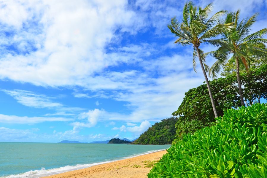 Cairns to Mossman Gorge - Trinity beach Australia