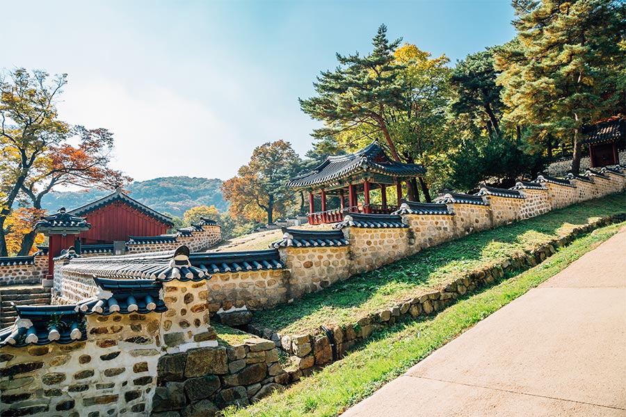 Best Places for Digital Nomads in South Korea Gwangju