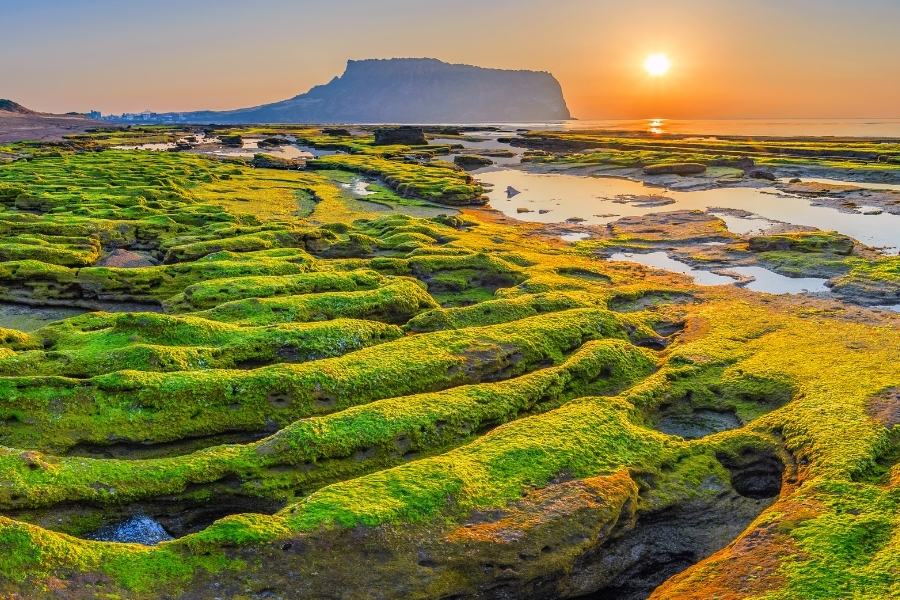 Best Places for Digital Nomads in South Korea - Jeju Island