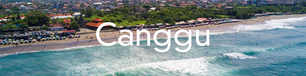 Canggu Information and articles