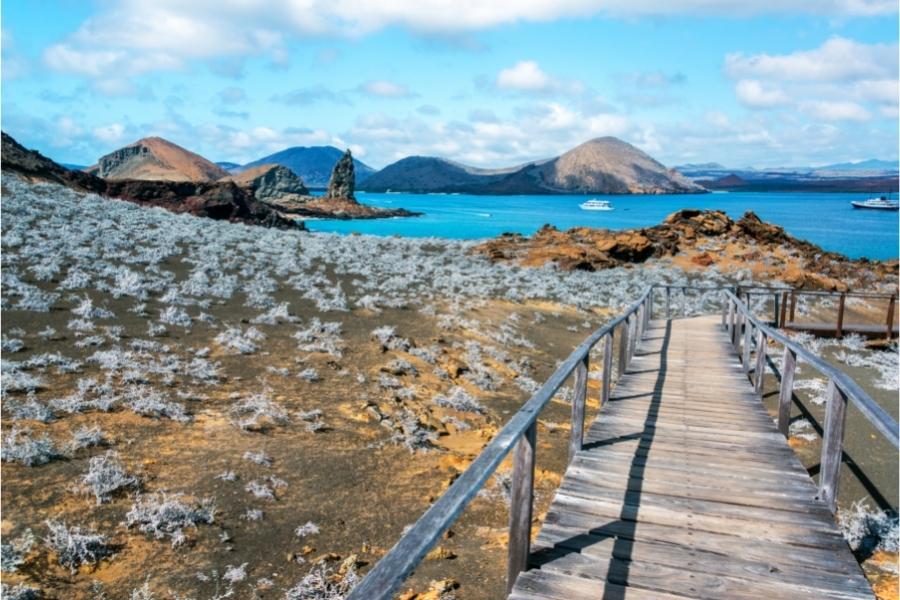 Luxury cruise destinations - 1.Galapagos islands