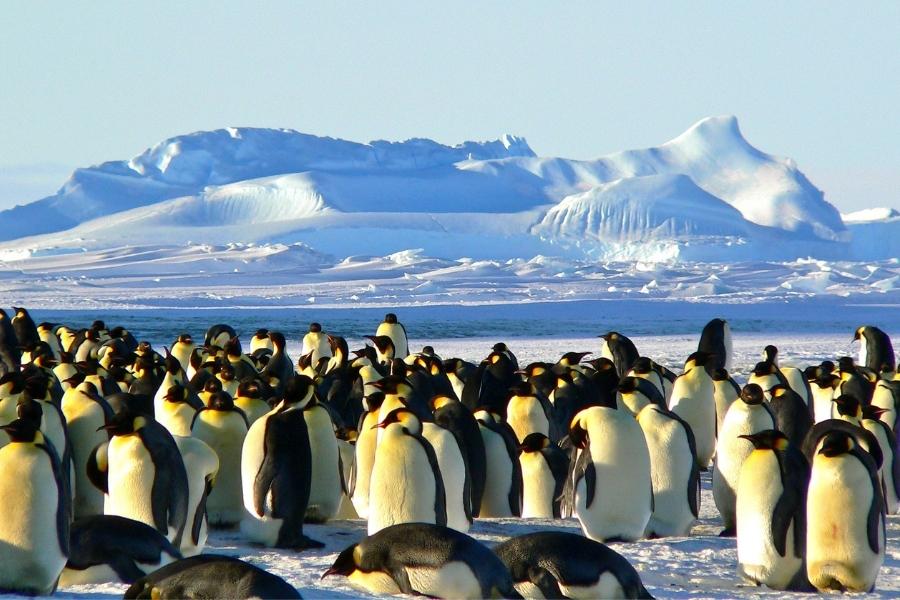 Luxury cruise destinations - 3. Antarctica