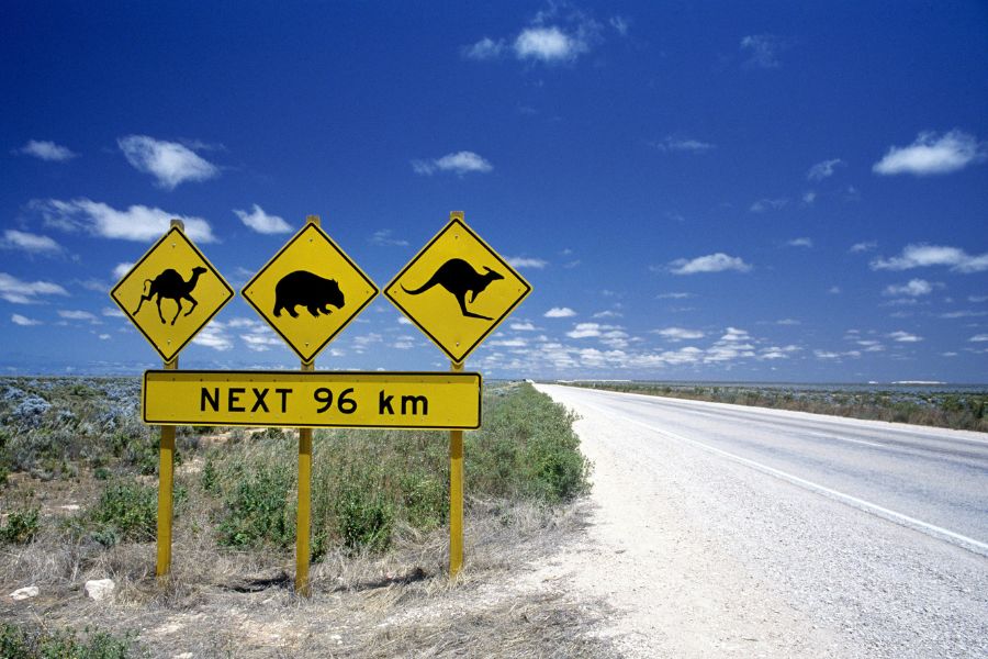 Road Trips in Australia