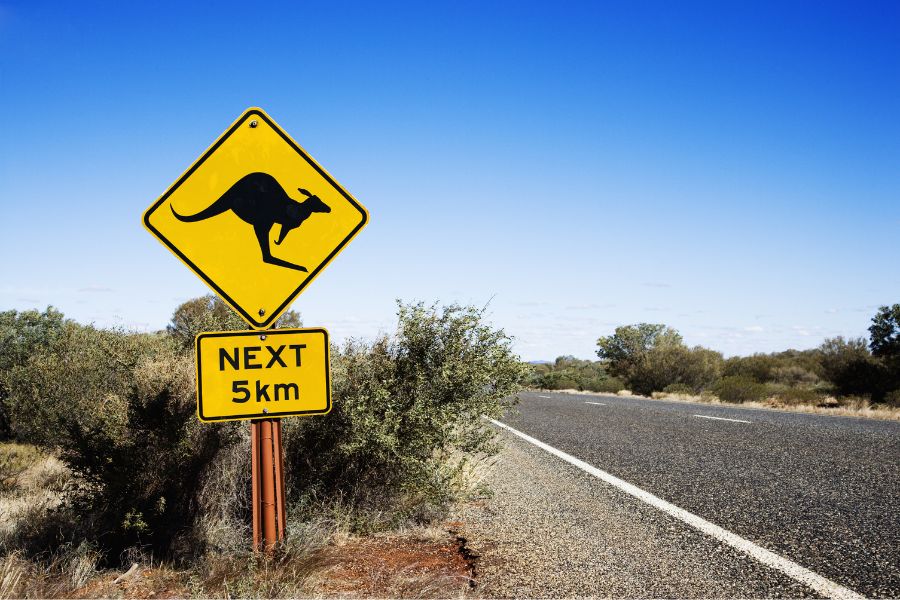 Road Trips in Australia