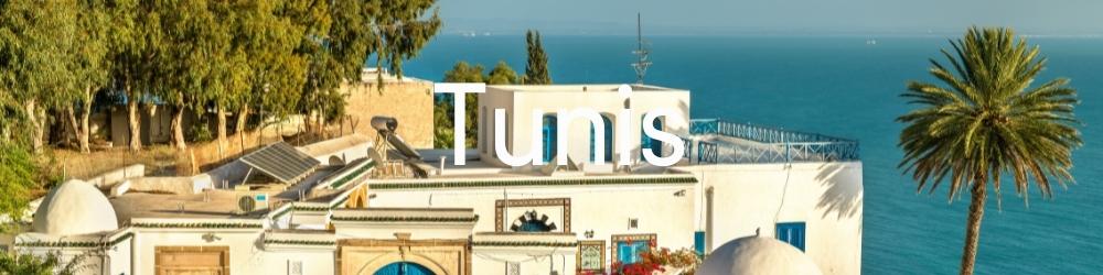 Tunis Information and articles