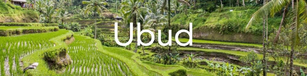 Ubud Information and articles