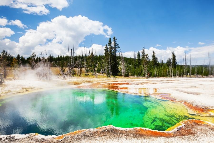 The great outdoors yellowstone national park