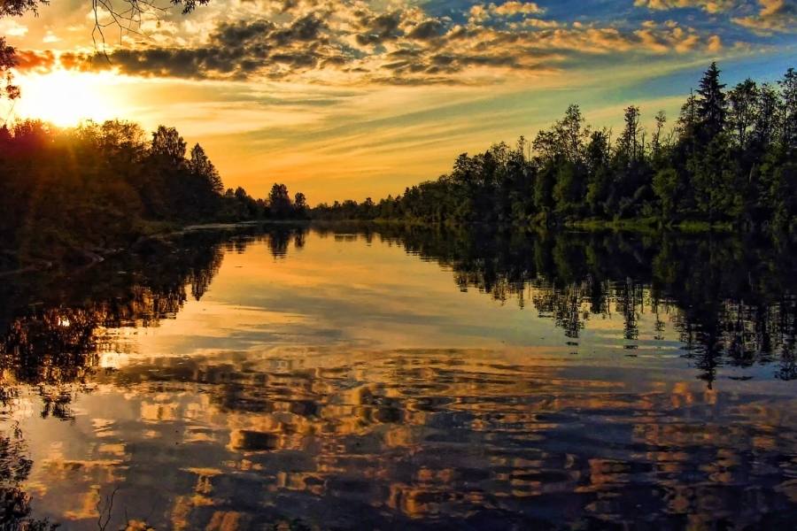 Estonia Digital Nomad Visa