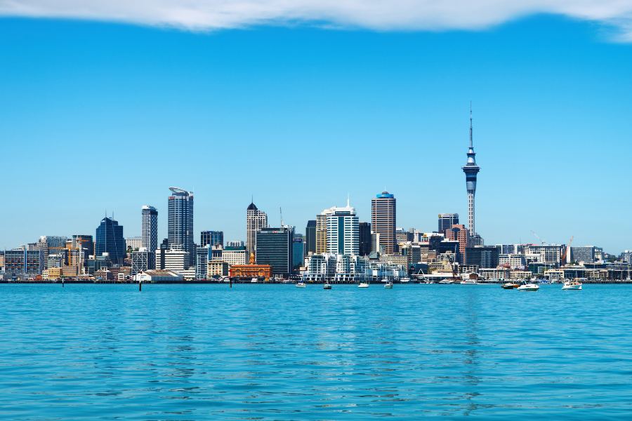 New Zealand Working Holiday Visa