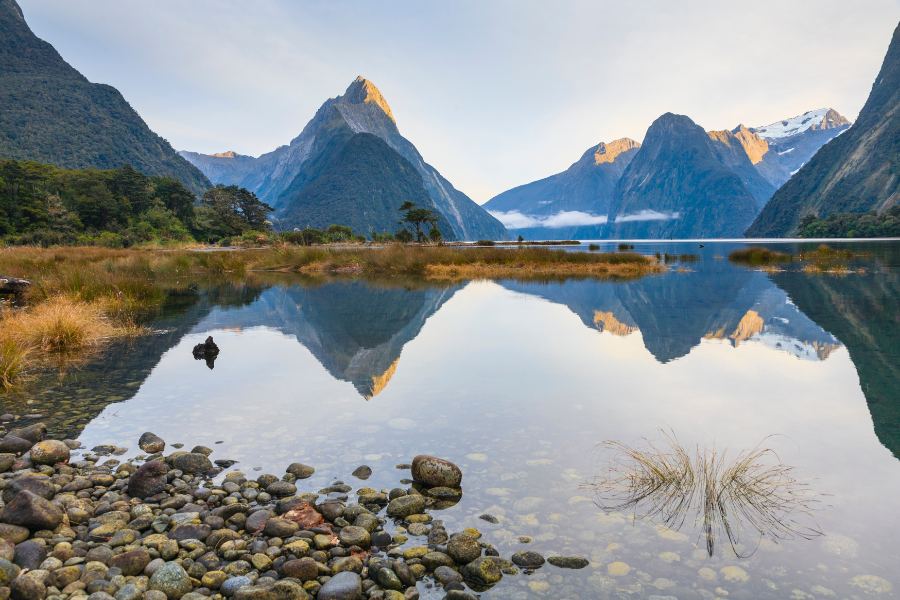 New Zealand Working Holiday Visa