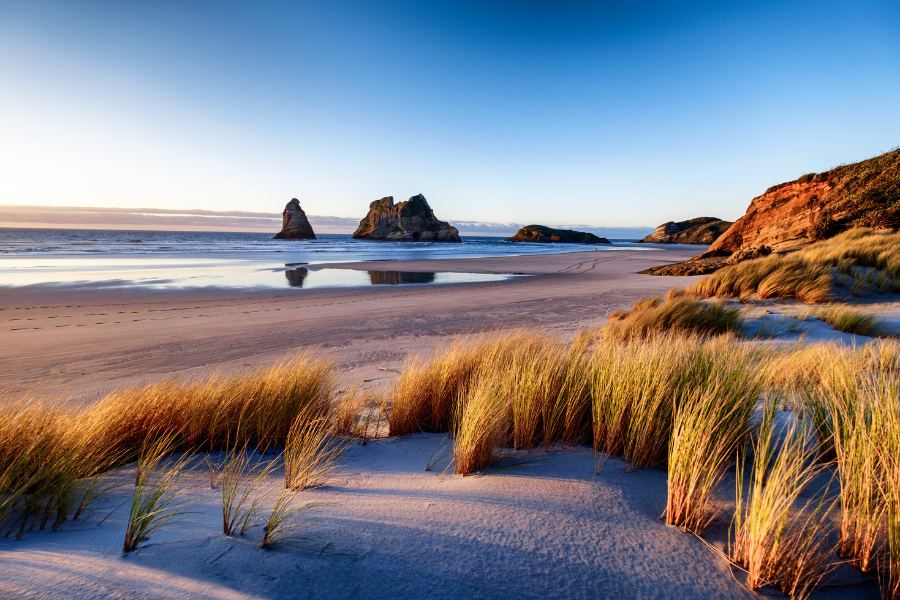 New Zealand Working Holiday Visa