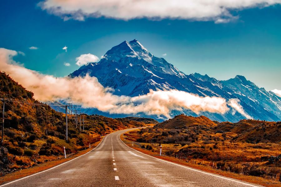 New Zealand Working Holiday Visa